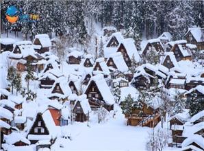 Tour Nhật Bản Đón Tết Nguyên Đán 2027 Ở Shirakawago